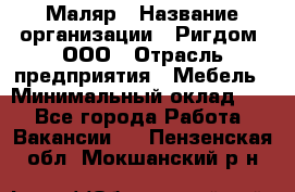Маляр › Название организации ­ Ригдом, ООО › Отрасль предприятия ­ Мебель › Минимальный оклад ­ 1 - Все города Работа » Вакансии   . Пензенская обл.,Мокшанский р-н